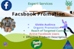 do  facebook promotion for any company
