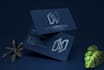 design luxury and premium business card