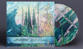 illustrate a detailed album cover artwork