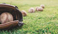 write baseball related articles and blog posts