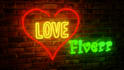 text or logo animation with neon lights