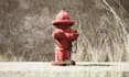 do 3d modeling and texturing of any type