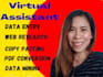 do data entry work, web research, typing and copy paste