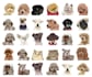 design animal emoticon, stickers, character