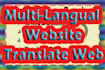 do custom website translate or develop multilangual website