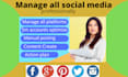 professionally manage all social media accounts
