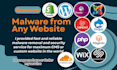 do virus removal from any website, shopify, wordpress, cloudflare SSL