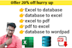 help you in excel database project, pdf conversion