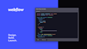 write custom code and fix issue of webflow website