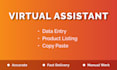 do data entry, web research, copy paste, product listing as a virtual assistant