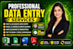 do data entry, email extraction, web and data scraper, pdf document conversion