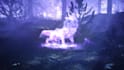 make spirit wolf logo intro video in full hd