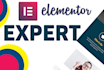 be your elementor expert and elementor landing page creator