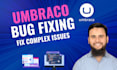 fix umbraco website bugs, errors, and performance issues