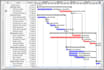 do project management task