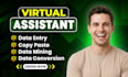 be your virtual assistant for data entry, data mining, typing, web research