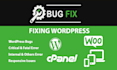 fix website bugs, errors, responsive problems, or 404 error
