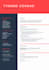provide a professional CV writing and editing