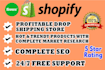 build shopify dropshipping store or shopify website