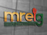 design a real estate logo, investors