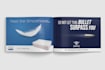 make any kind of graphic design