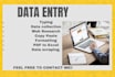 data entry and copy pasting