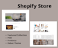 be your shopify store creator