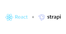 develop web applications with reactjs, nextjs, strapi