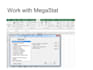 do statistical analysis with megastat