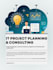 it project planning, technical consulting, and project management support