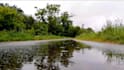 create raining video free to use to monetize