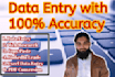 do expert data entry and web research