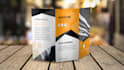 design professional flyer, bifold or trifold brochure design