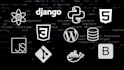 be your html css javascript, react js website developer