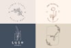 do unique botanical boho hand drawn logo design in 24 hours