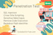 perform web and mobile app penetration testing