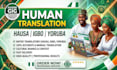 translate your document, video, music to nigerian language