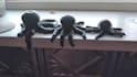 3d print on demand and 3d modeling