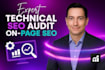 do website audit, technical SEO and fix google index issues