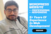 build a professional and responsive wordpress website