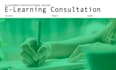 give you a private consultation on your elearning project