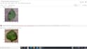 do deep learning using  tensorflow, pytorch and python