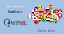 translate your entire website into a multisite