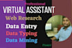be perfectly virtual assistant,data entry and web research