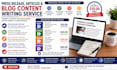 do press release, articles, blog content writing