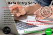 do data entry, typing job, wordpress data entry, data entry in 24 hours for you