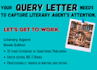 critique your novel and literary agent query package