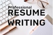 provide attractive professional resume writing