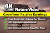 create youtube channel with 4k meditation and relaxing music videos