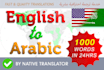 translate arabic to english, legal docs and more
